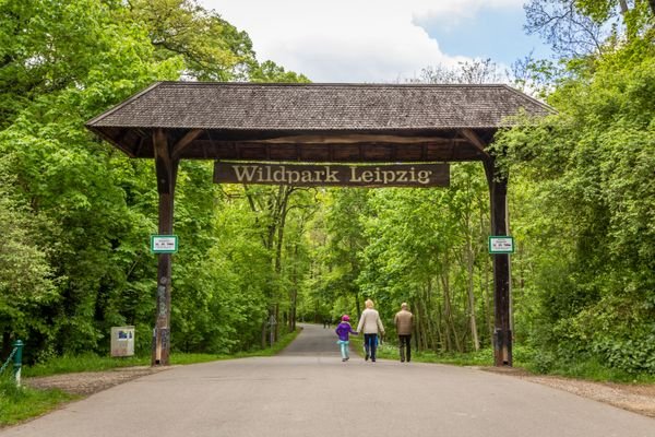 Wildpark im Auwald