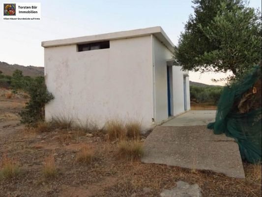 Olivenhain 25.000m² mit kleinem Haus