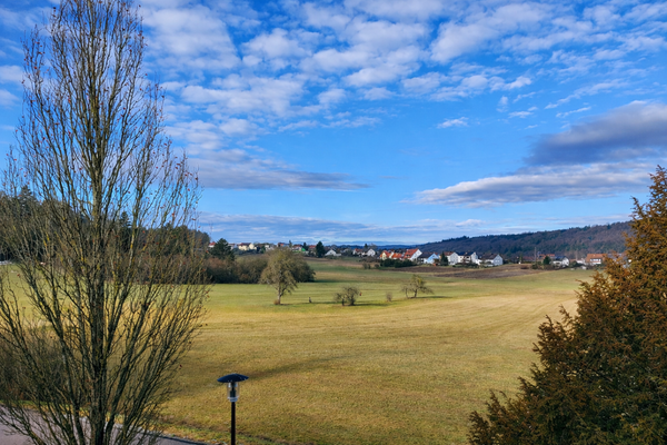 Blick in den Wiesengrund