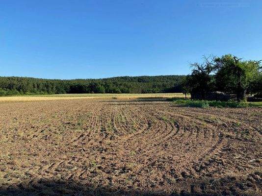 Grundstück Bild 2.JPG