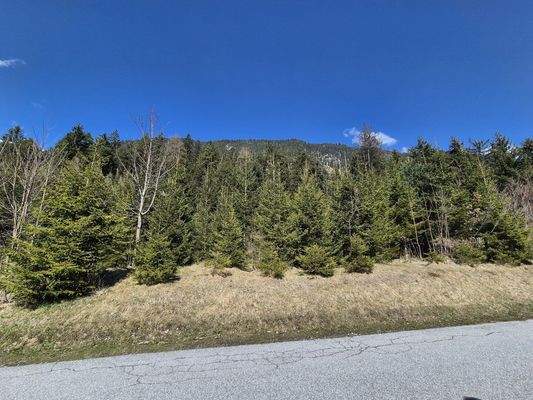 Ausblick vom Haus Richtung Norden