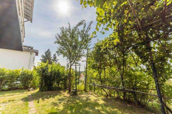 26 août 2025-14145C9A9767.jpg