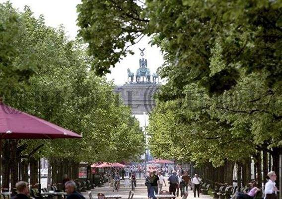 Foto 6-Unter den Linden-Brandenburger Tor