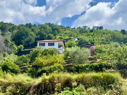 PE973_26 TERRA ITALIA IMMOBILIEN_LIGURIEN_COTTAGE_