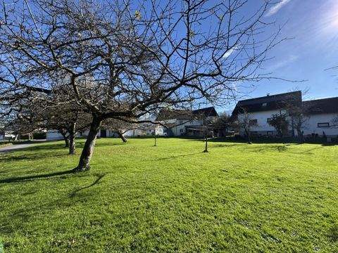 Lustenau Grundstücke, Lustenau Grundstück kaufen