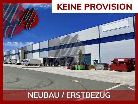 Heidelberg Halle, Heidelberg Hallenfläche