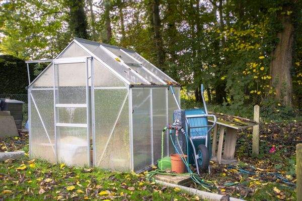 Gewächshaus