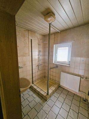 Duschbereich und Waschbecken