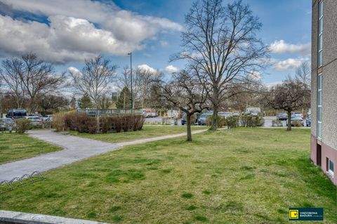 Wiener Neudorf Wohnungen, Wiener Neudorf Wohnung kaufen