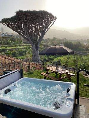 WhatsApp Image 2025-05-01 at 12.52.09 (2).jpeg