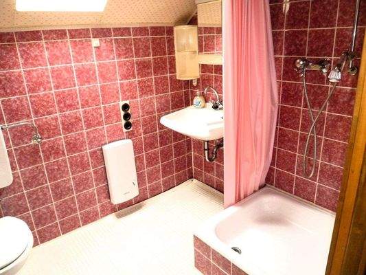 Duschbad DG mit Fenser