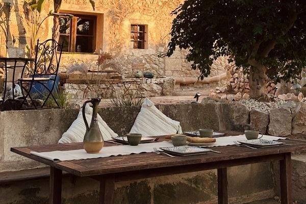 Ein Abendessen unter dem Baum