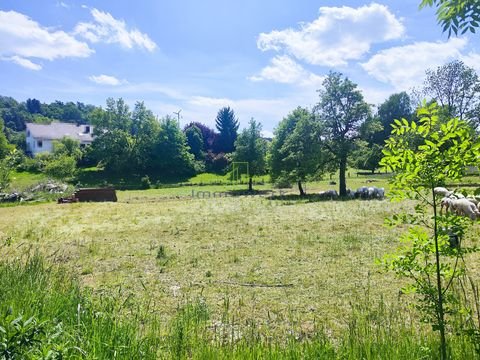 Balzheim Grundstücke, Balzheim Grundstück kaufen