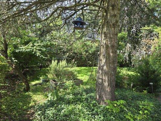 PHOTO-2025-08-13-12-17-59 (005)