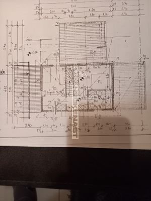 er_20241208_192944.jpg
