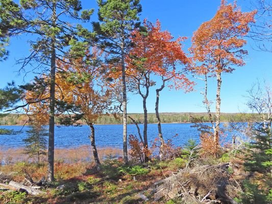 Cape Breton - Wunderschönes See-Grundstück mit rd.