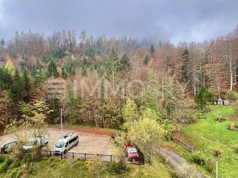 Bad Goisern am Hallstättersee Wohnungen, Bad Goisern am Hallstättersee Wohnung kaufen