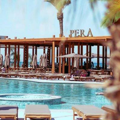 471164345_607473798629847_5627765845860097221_n