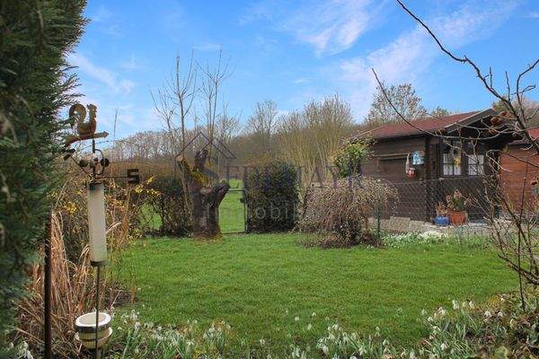 Blick in den Garten 1