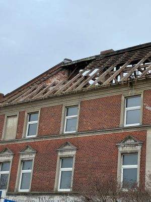 WhatsApp Bild 2025-10-13 um 07.36.15_b83681e6.jpg