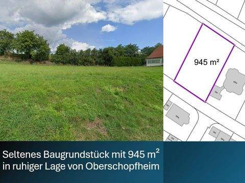 Friesenheim Grundstücke, Friesenheim Grundstück kaufen
