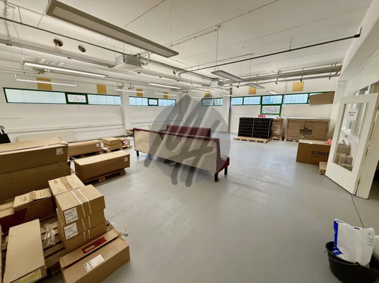 INFOS UNTER: 06171-586000