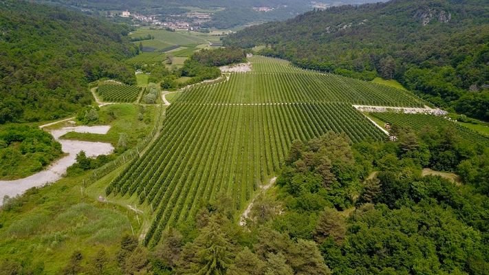 Obstbau-Apfelplantagen-Apfel-Trient-Haus-Kubatur-Bauen-Garage-Geräteschuppen-Frutticoltura-mela-frutteto-mela-Trento-casa-cubatura-edificio-garage-attrezzature-capannone