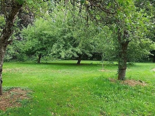 reichlich Obstbaum Bestand vorhanden