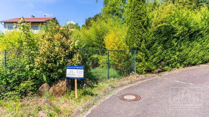 Straßenansicht - Einfahrt