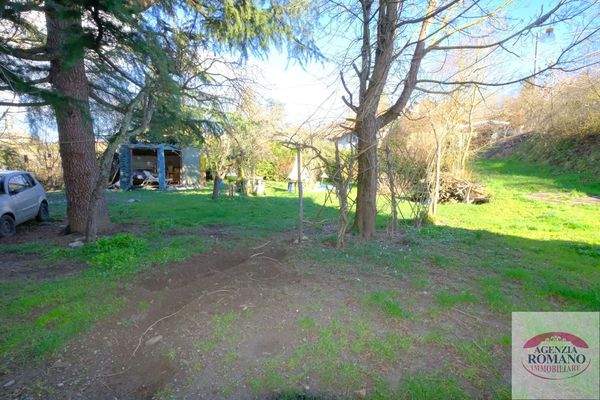 rif 1480(Copy18).jpg