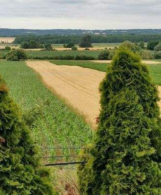 Panorama aus dem Balkon
