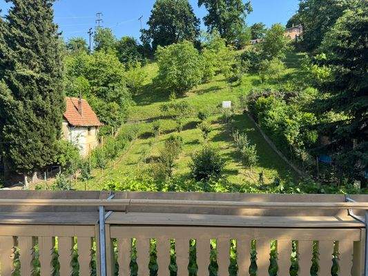 PHOTO-2025-06-03-16-27-40 3.jpg