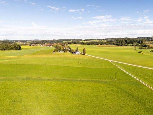 Mayr Immobilien-Grundstück Moosdorf-250915-05-Web