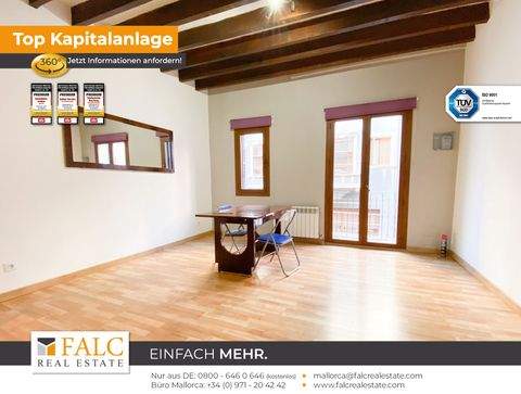 Palma de Mallorca Wohnungen, Palma de Mallorca Wohnung kaufen