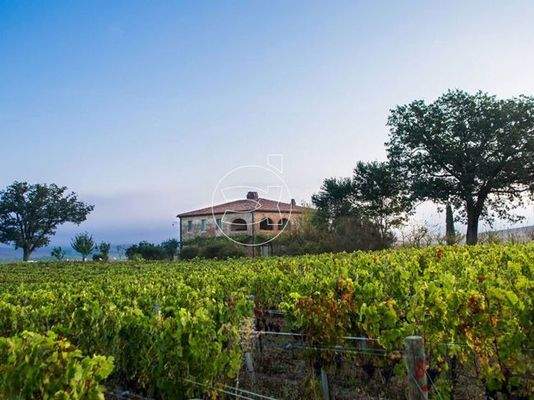 Wunderschönes Anwesen | Montalcino