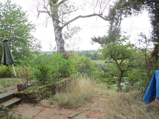 Naturidylle und Fernsicht.JPG