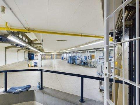 Fallingbostel Halle, Fallingbostel Hallenfläche