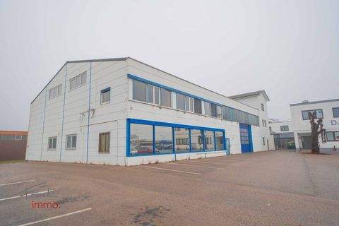 Vösendorf Halle, Vösendorf Hallenfläche