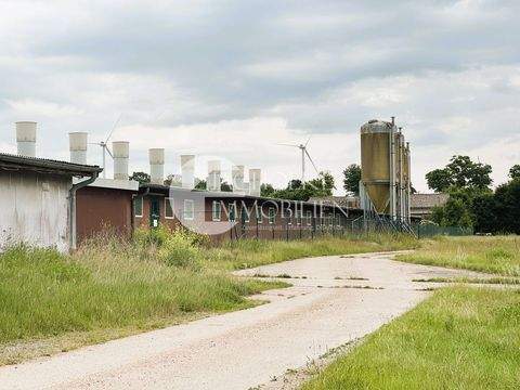 Salzwedel Bauernhöfe, Landwirtschaft, Salzwedel Forstwirtschaft