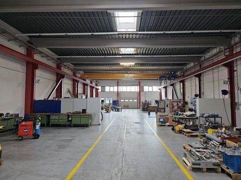 Lotte Halle, Lotte Hallenfläche