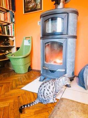  Speicherofen +&#39;Gastgeber&#39;