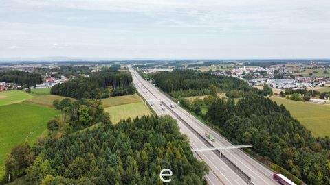 Sattledt Industrieflächen, Lagerflächen, Produktionshalle, Serviceflächen