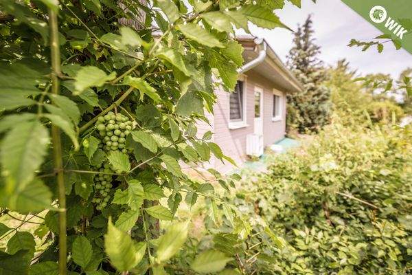 EIN TRAUMBAUGRUNDSTÜCK...