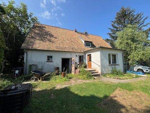 Tauche Häuser, Tauche Haus kaufen