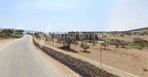 Glyfa, Antiparos Bauernhöfe, Landwirtschaft, Glyfa, Antiparos Forstwirtschaft