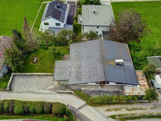 Sonniges ruhiges Grundstück mit Altbestand (10)