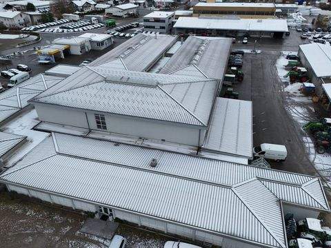 Kißlegg Halle, Kißlegg Hallenfläche