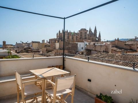palma de mallorca Wohnungen, palma de mallorca Wohnung kaufen