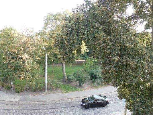 Blick aus dem Wohnzimmer