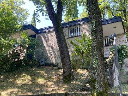 IMG_5075 (Grande).JPG